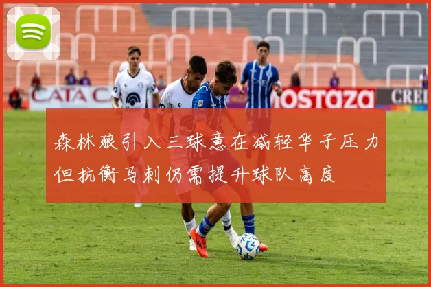 森林狼引入三球意在减轻华子压力但抗衡马刺仍需提升球队高度