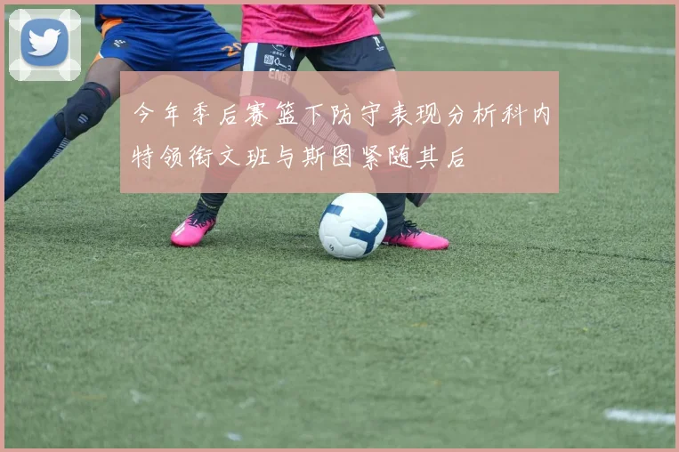 今年季后赛篮下防守表现分析科内特领衔文班与斯图紧随其后